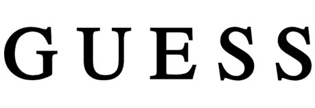 logo-guess